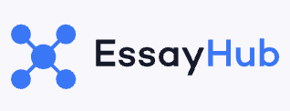 write my essay EssayHub